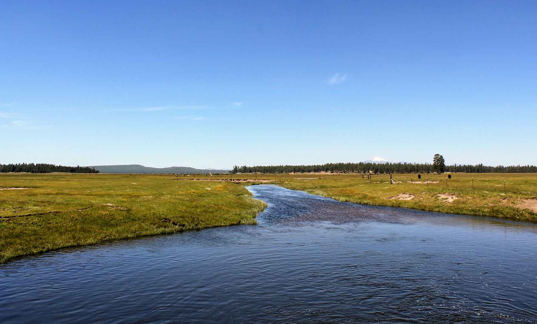 Timmerman Land and Cattle Company property picture 13 of 38