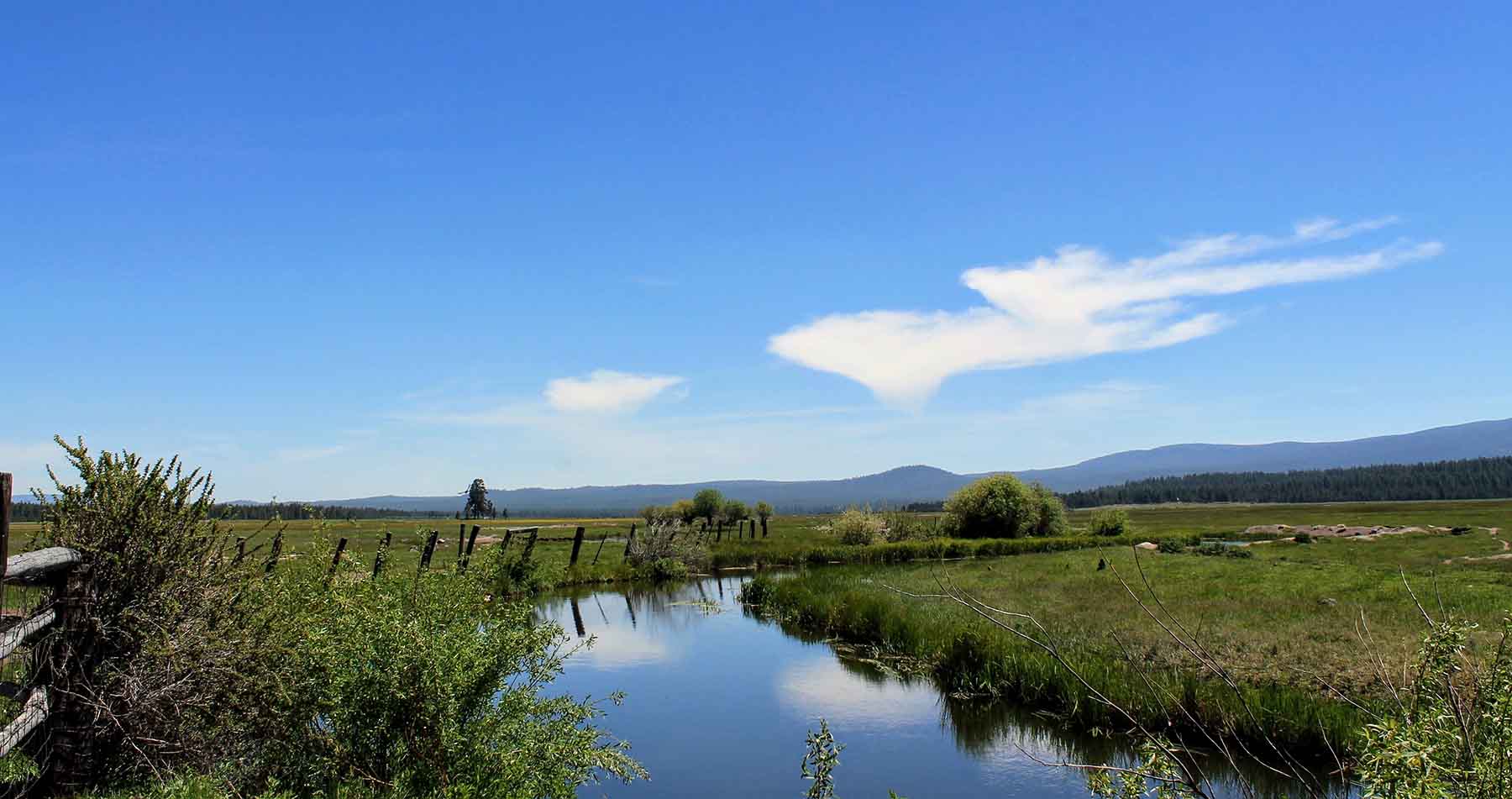 Timmerman Land and Cattle Company property picture 2 of 38