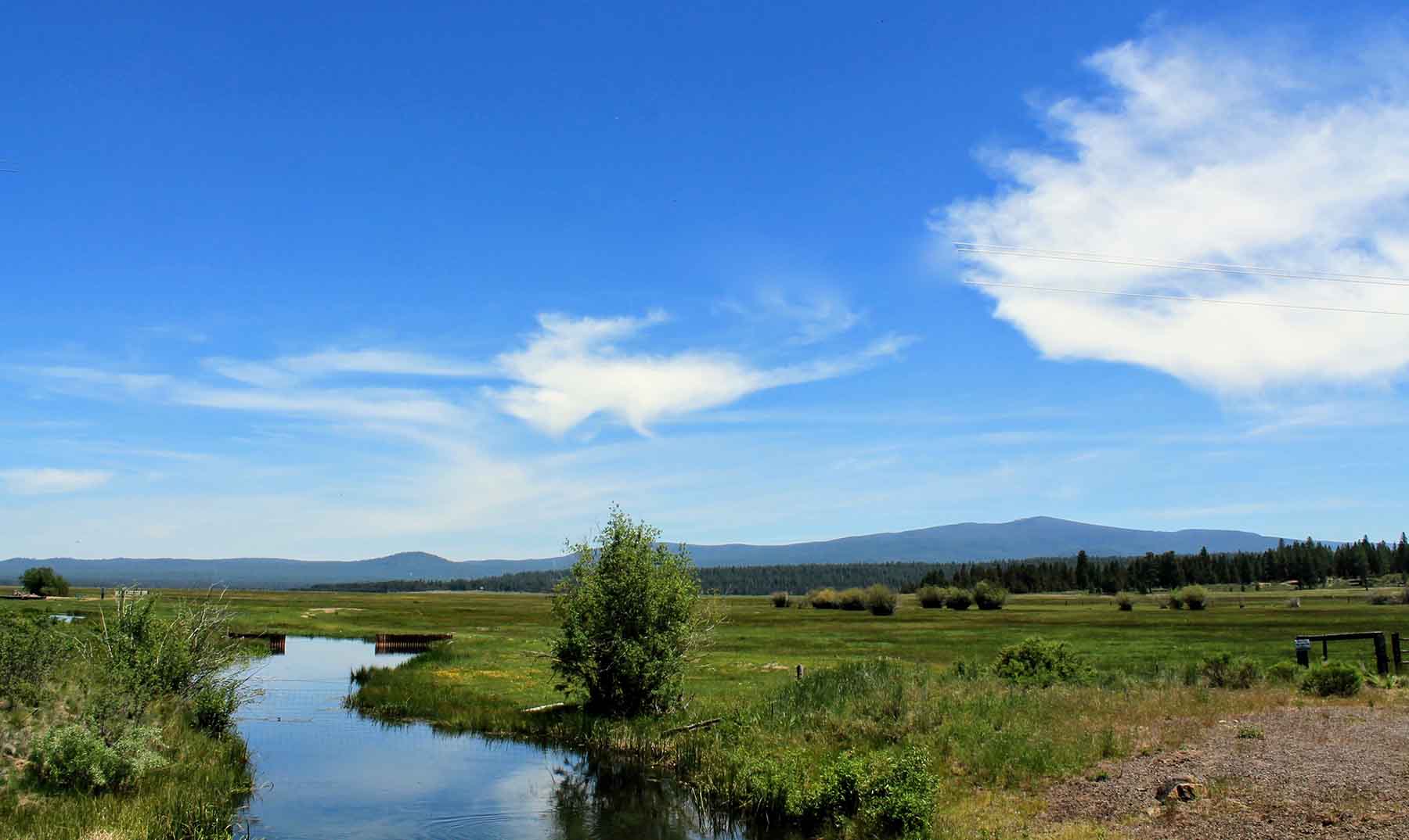 Timmerman Land and Cattle Company property picture 7 of 38