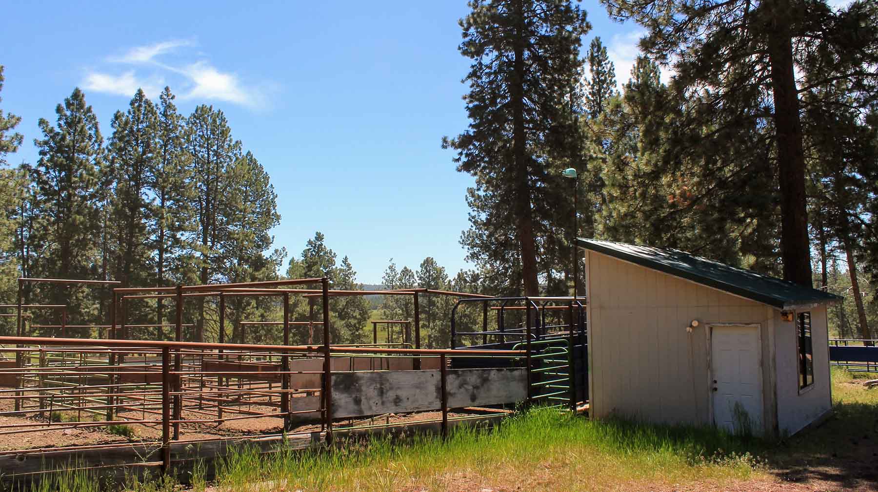 Timmerman Land and Cattle Company property picture 33 of 38