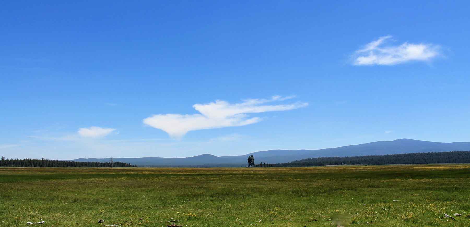 Timmerman Land and Cattle Company property picture 4 of 38
