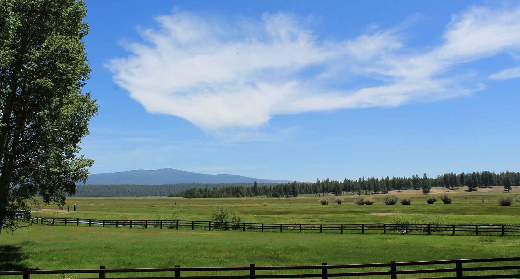 Timmerman Land and Cattle Company property picture 14 of 38
