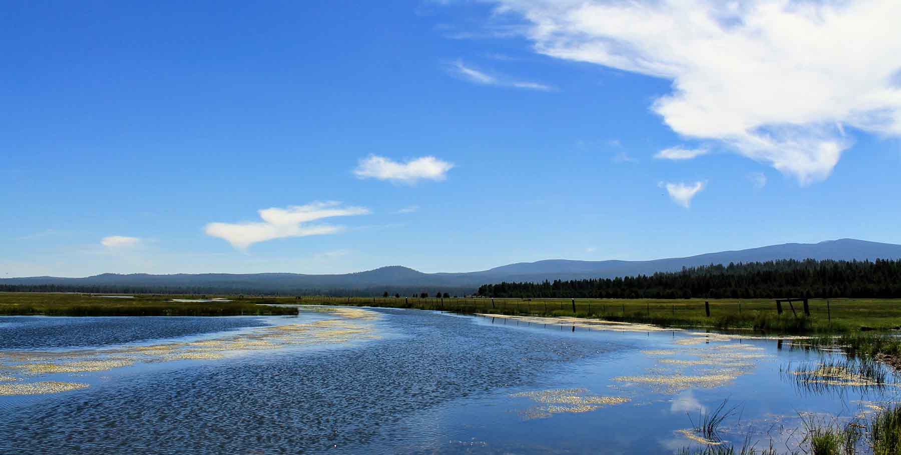 Timmerman Land and Cattle Company property picture 37 of 38