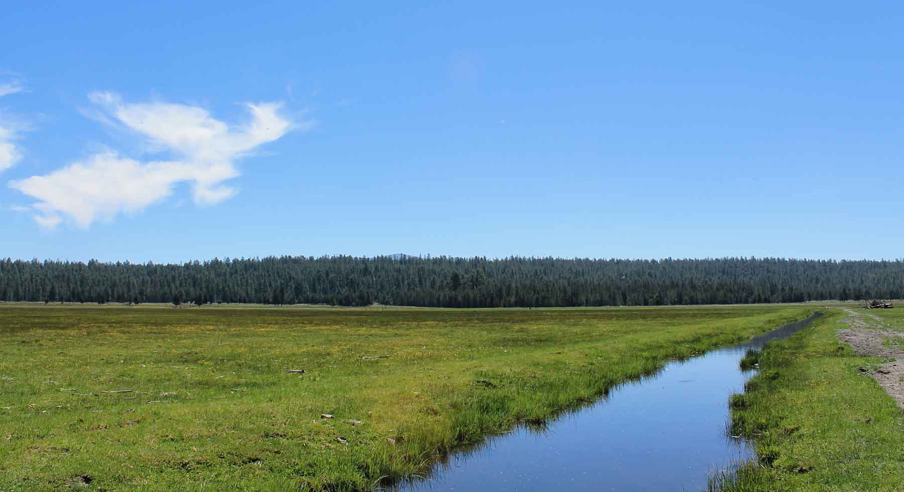 Timmerman Land and Cattle Company property picture 5 of 38