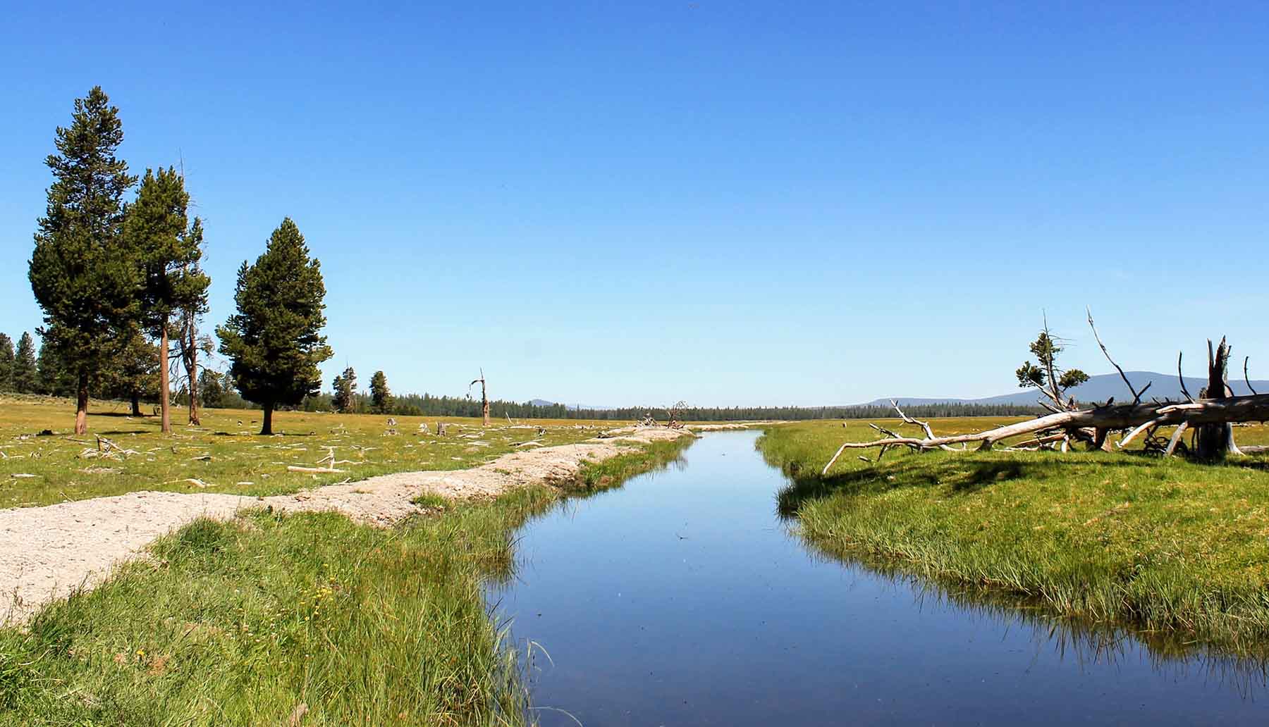 Timmerman Land and Cattle Company property picture 12 of 38