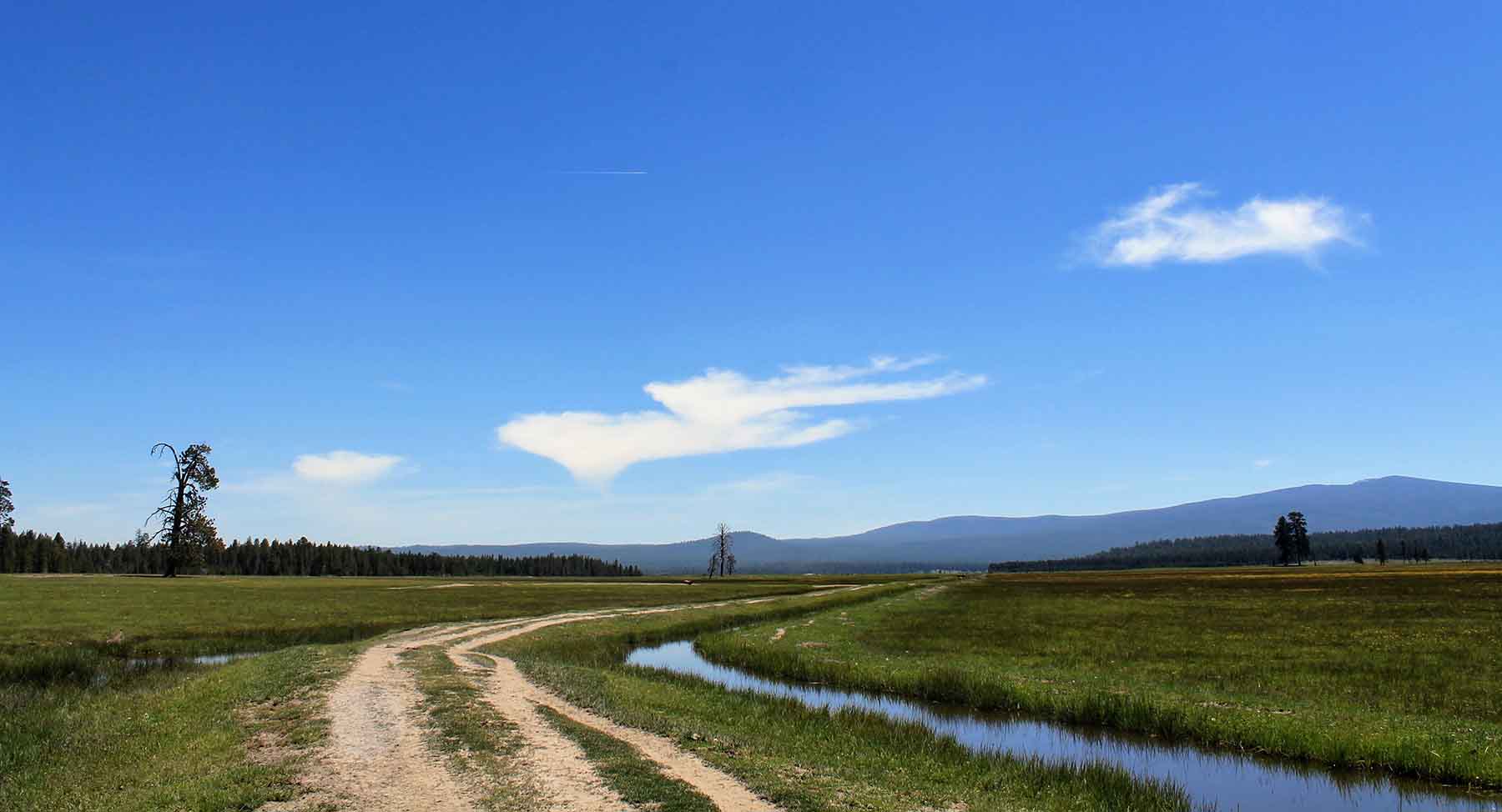 Timmerman Land and Cattle Company property picture 35 of 38