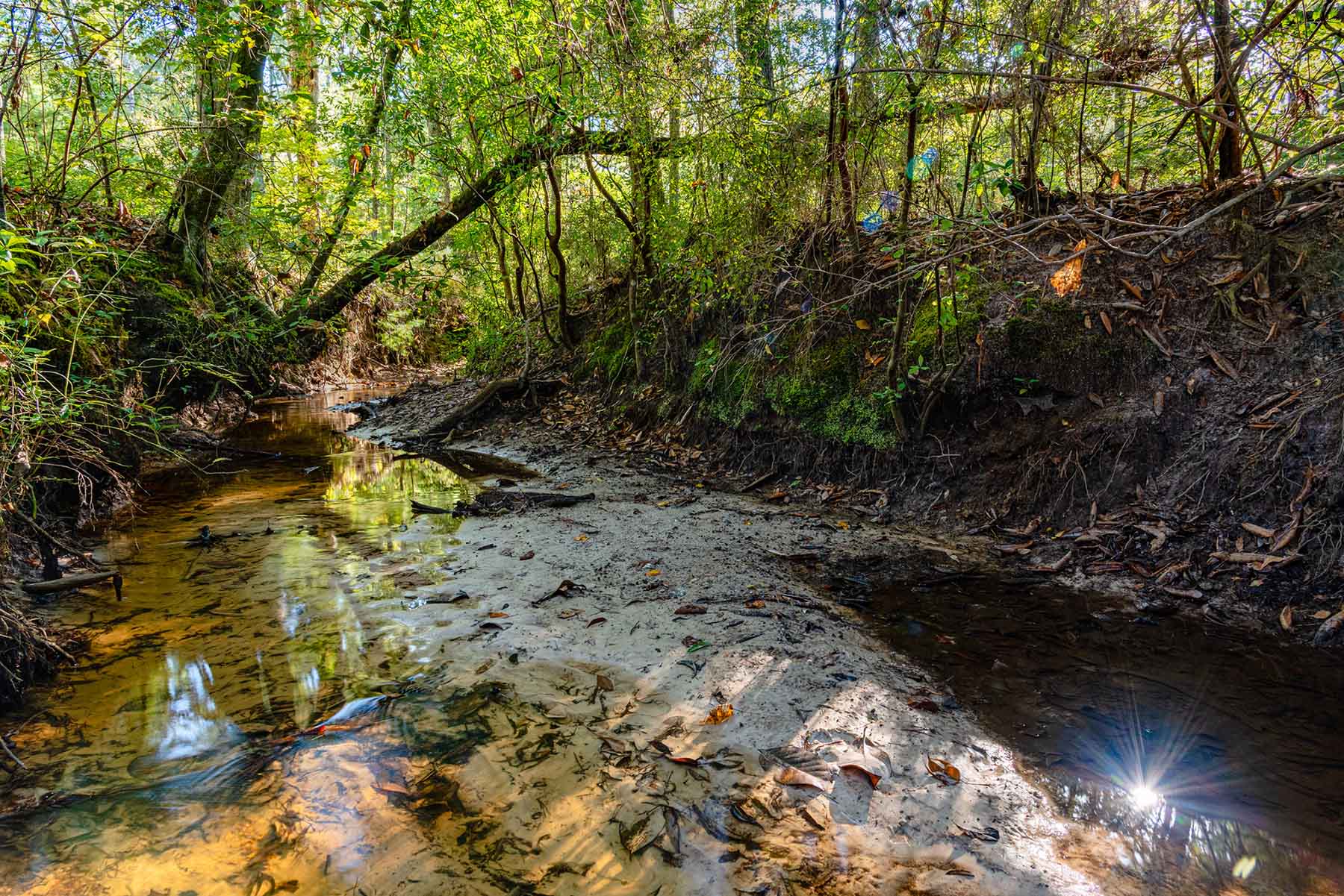 Twin Oaks Plantation property picture 9 of 64