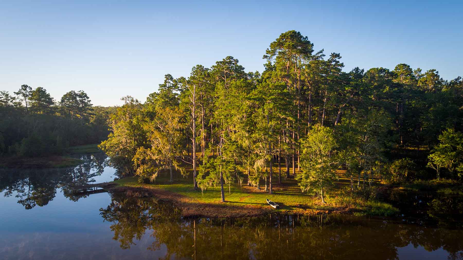 Twin Oaks Plantation property picture 12 of 64
