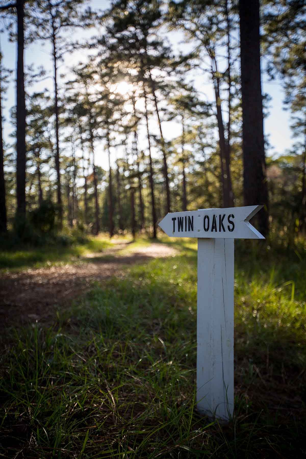 Twin Oaks Plantation property picture 6 of 64