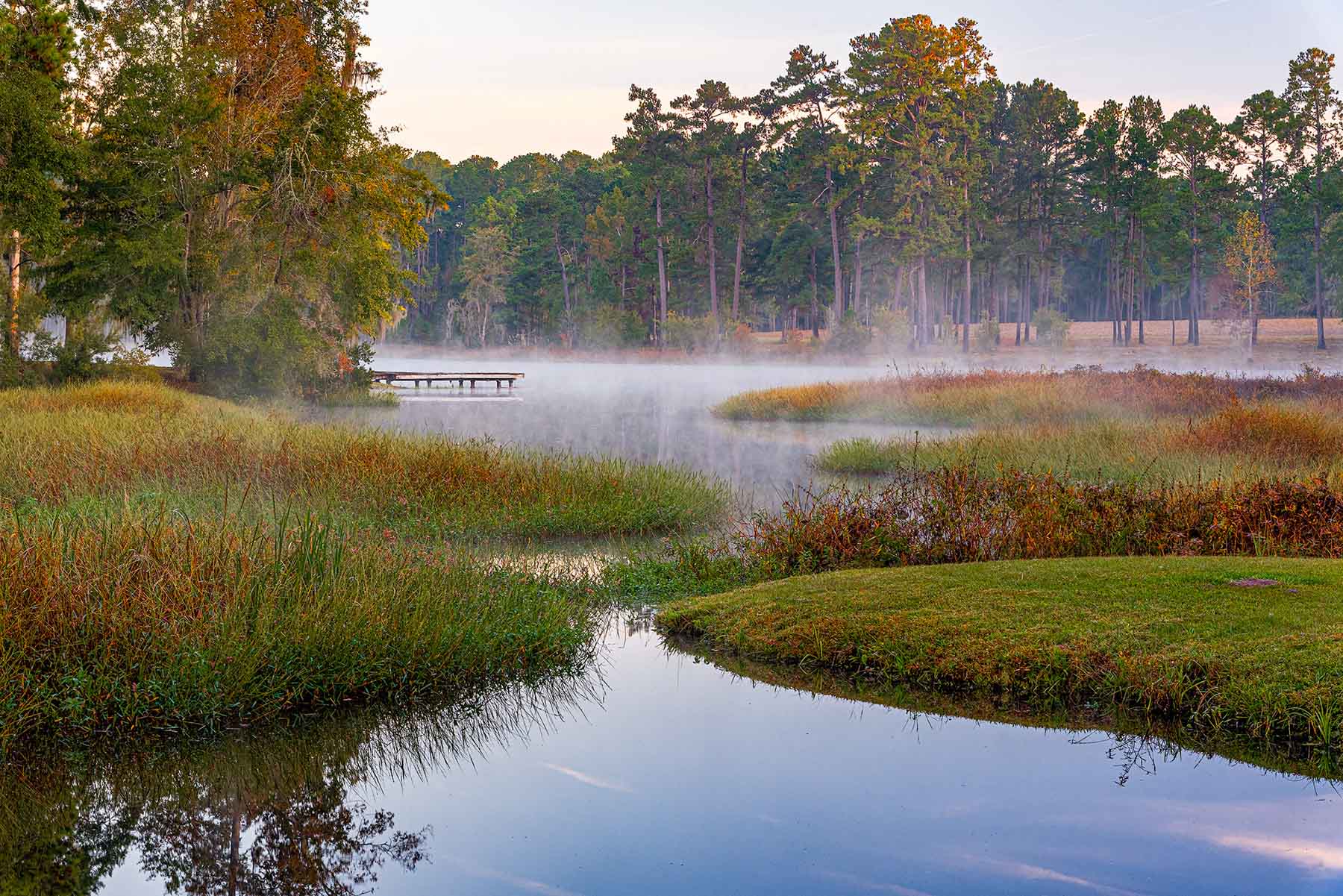 Twin Oaks Plantation property picture 2 of 64