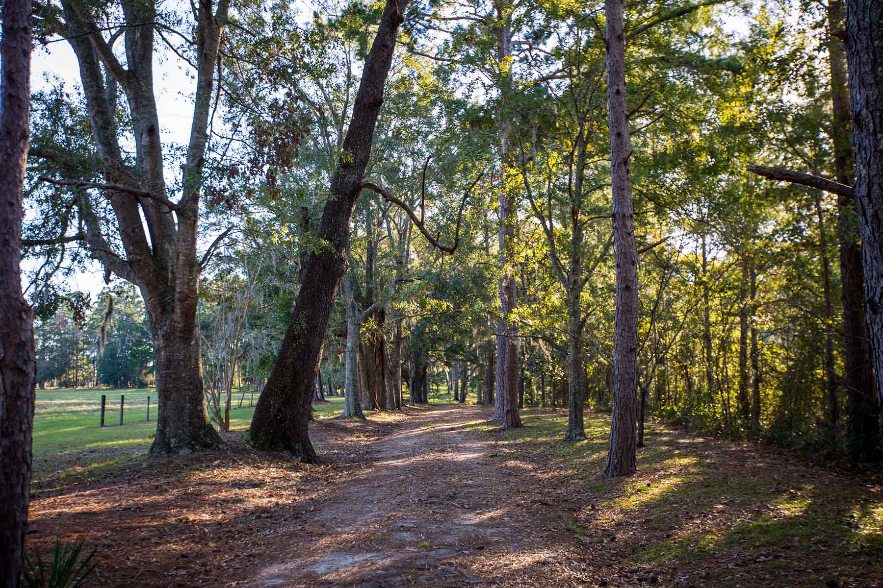 Twin Oaks Plantation property picture 61 of 64
