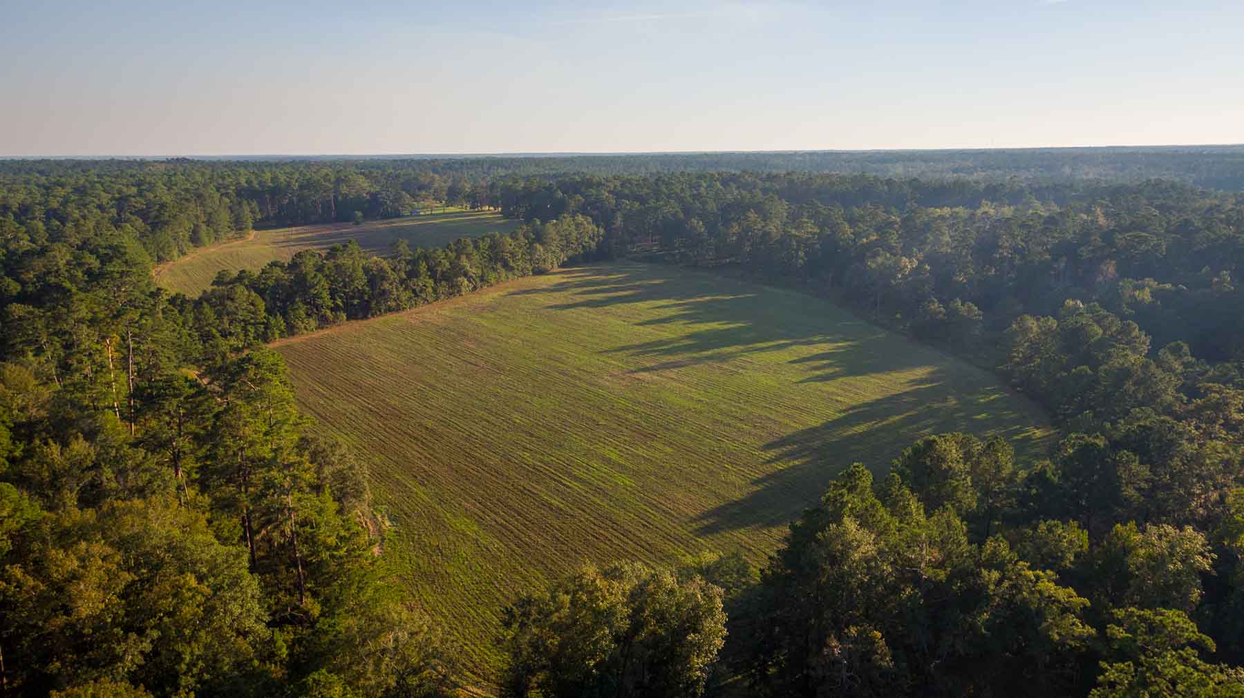 Twin Oaks Plantation property picture 19 of 64