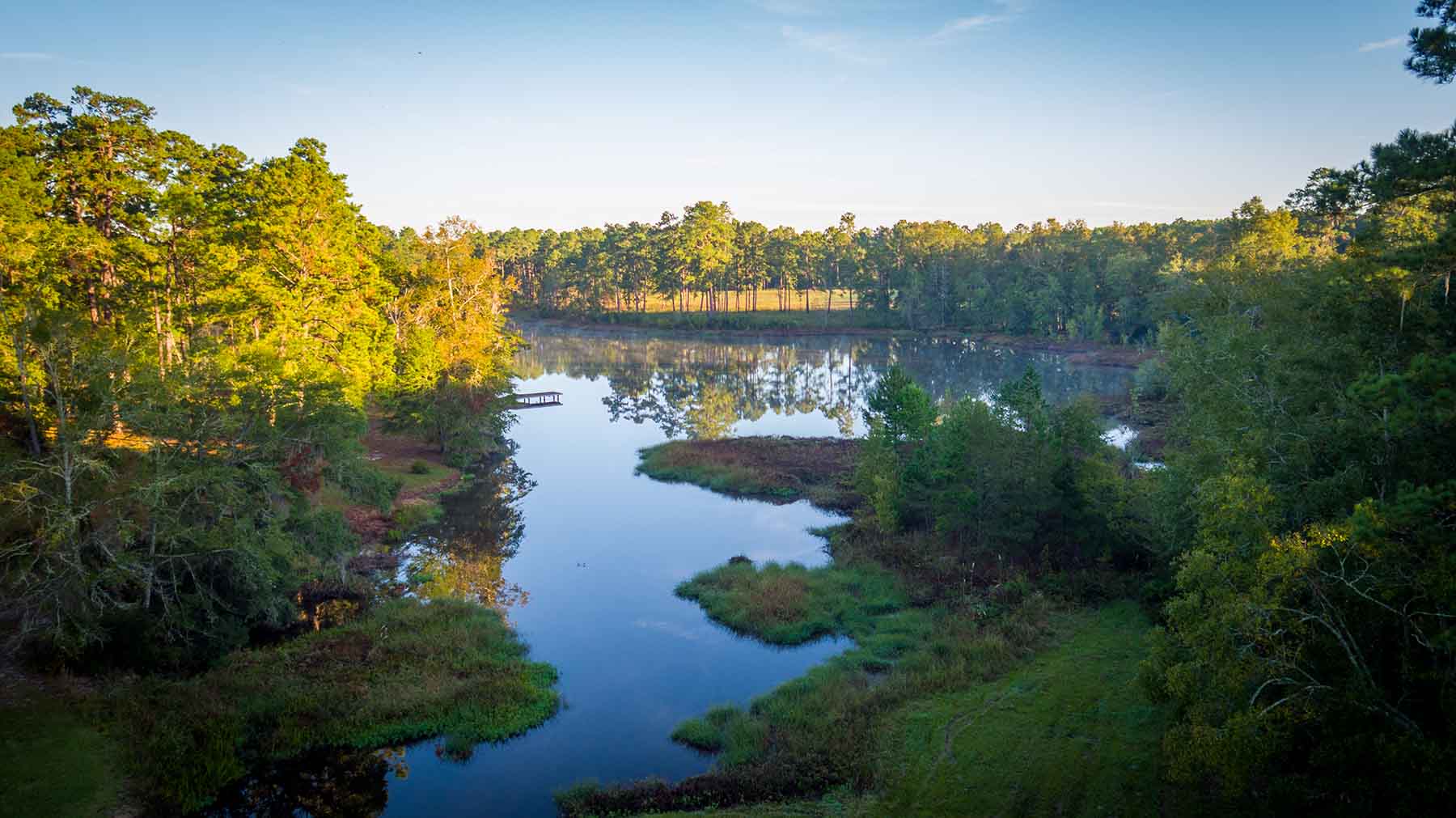 Twin Oaks Plantation property picture 53 of 64