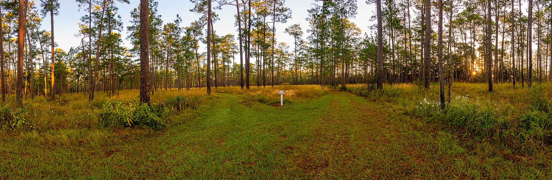 Twin Oaks Plantation property picture 18 of 64