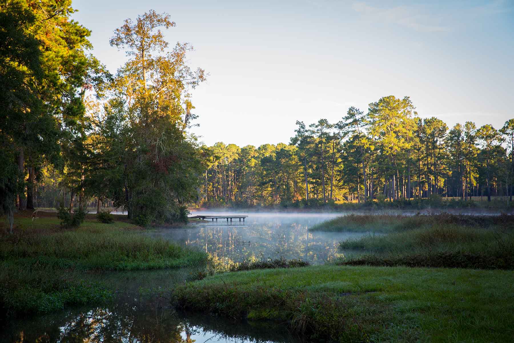 Twin Oaks Plantation property picture 51 of 64