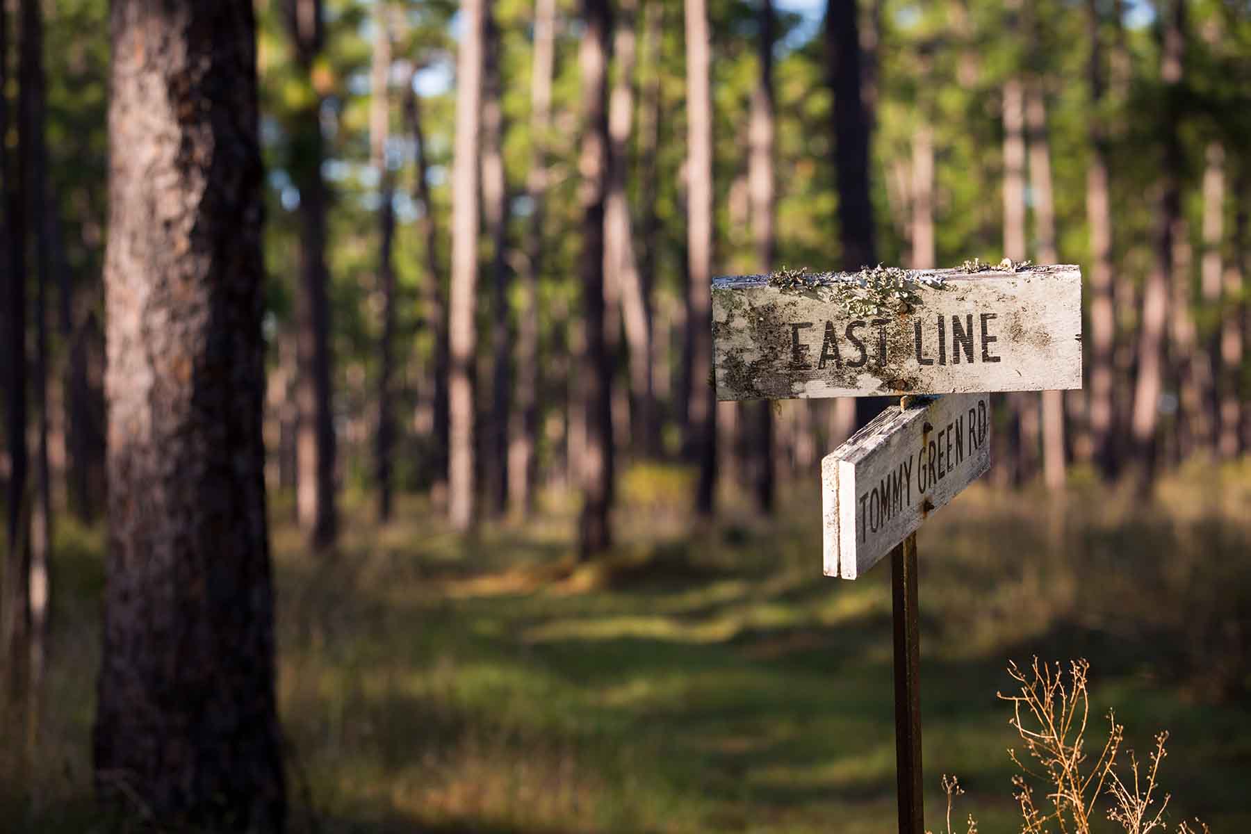 Twin Oaks Plantation property picture 46 of 64