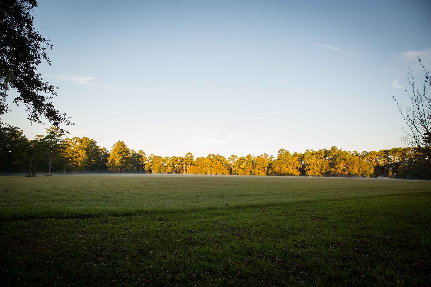 Twin Oaks Plantation property picture 24 of 64