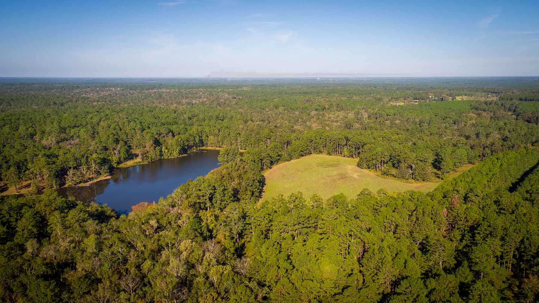 Twin Oaks Plantation property picture 17 of 64