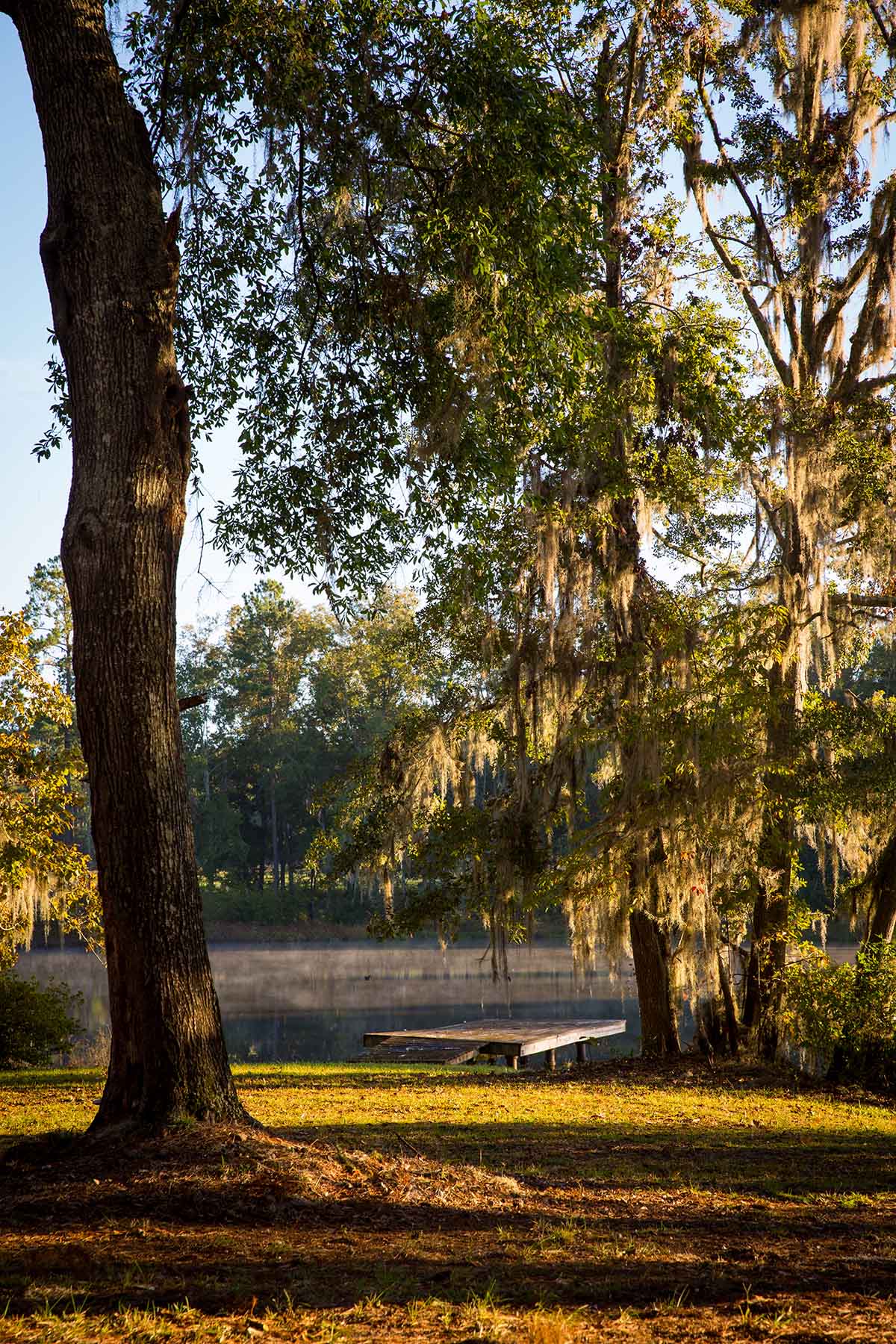 Twin Oaks Plantation property picture 52 of 64