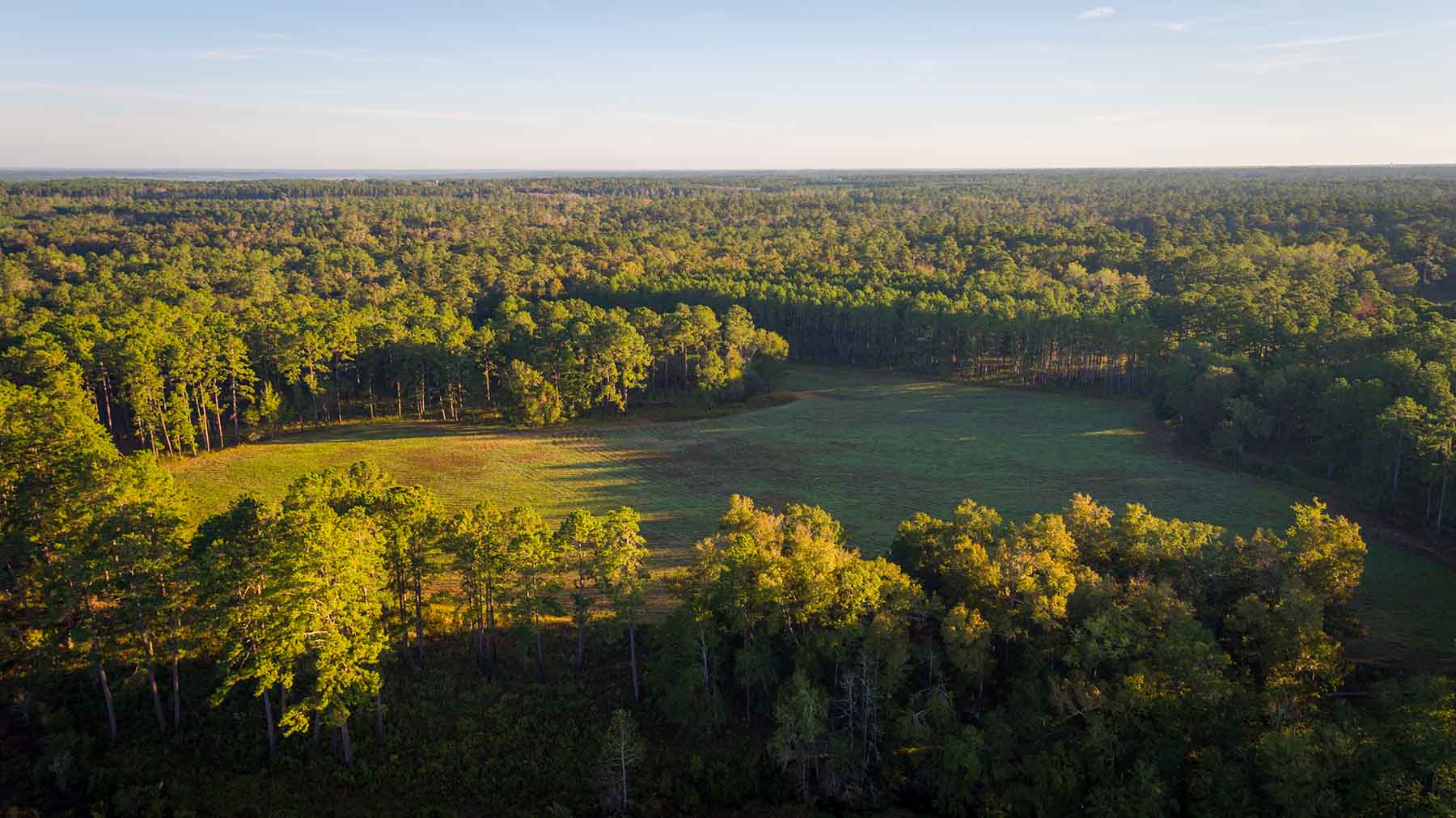 Twin Oaks Plantation property picture 55 of 64