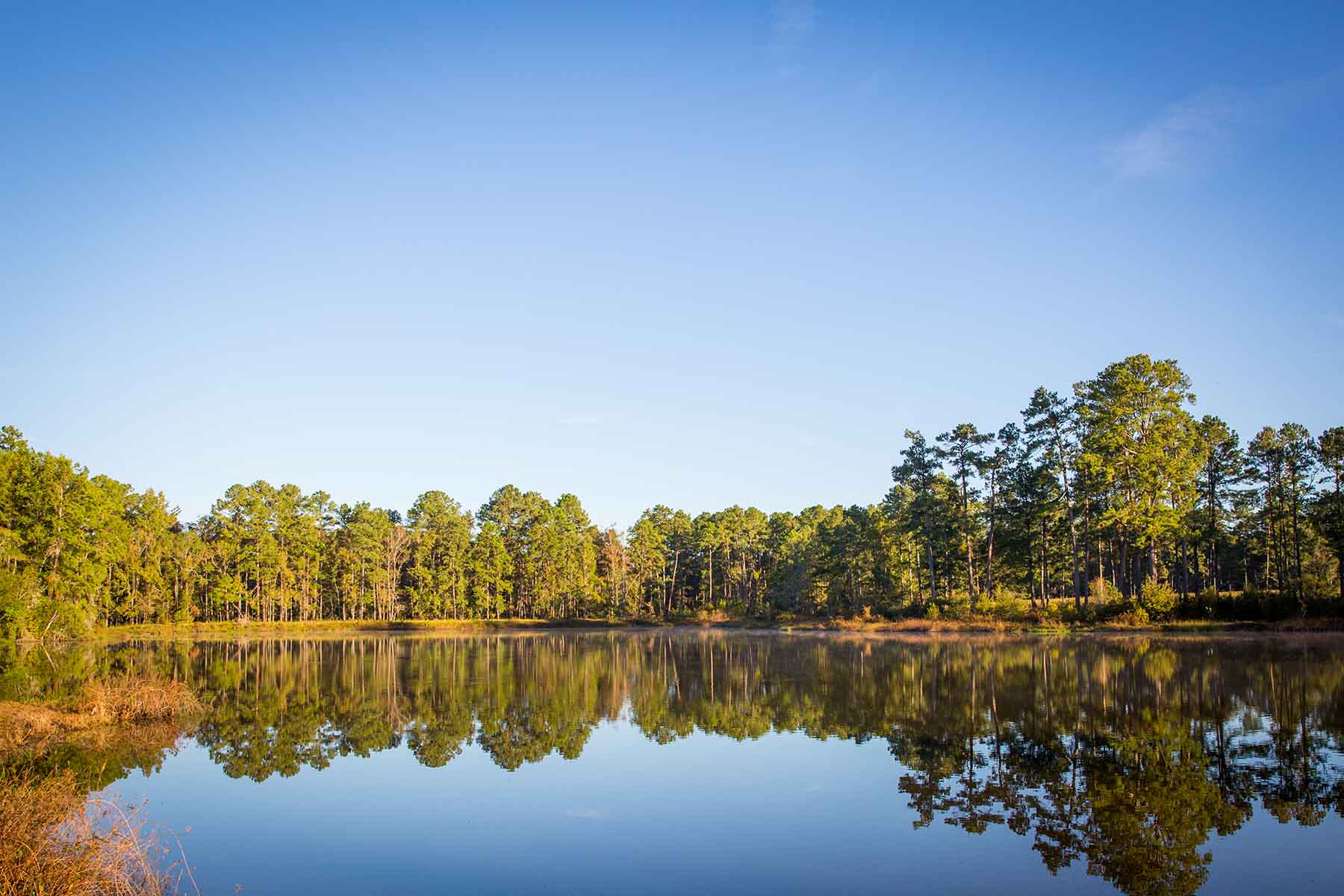 Twin Oaks Plantation property picture 15 of 64