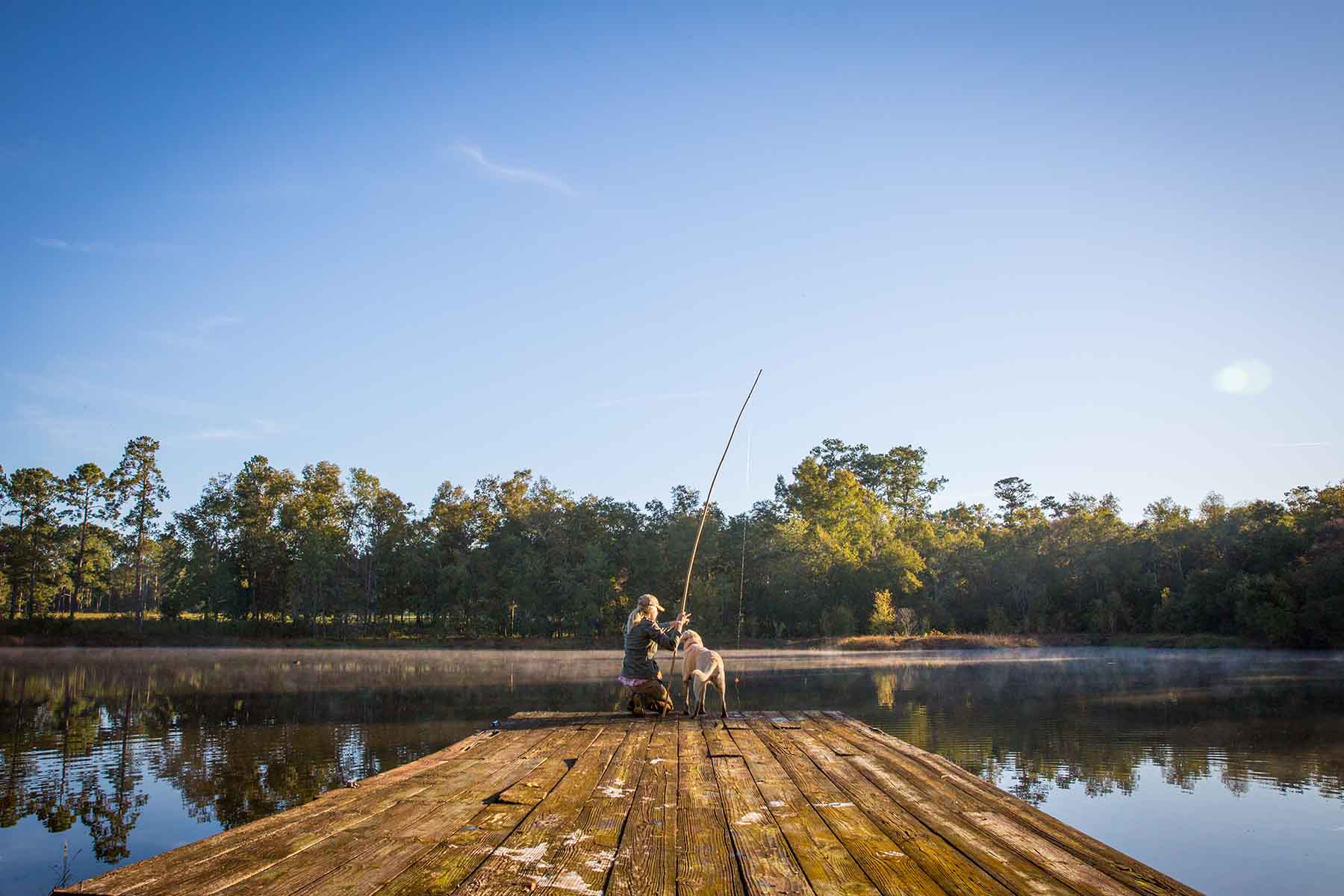 Twin Oaks Plantation property picture 13 of 64