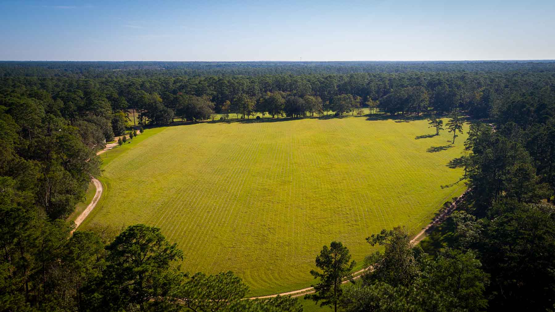 Twin Oaks Plantation property picture 59 of 64