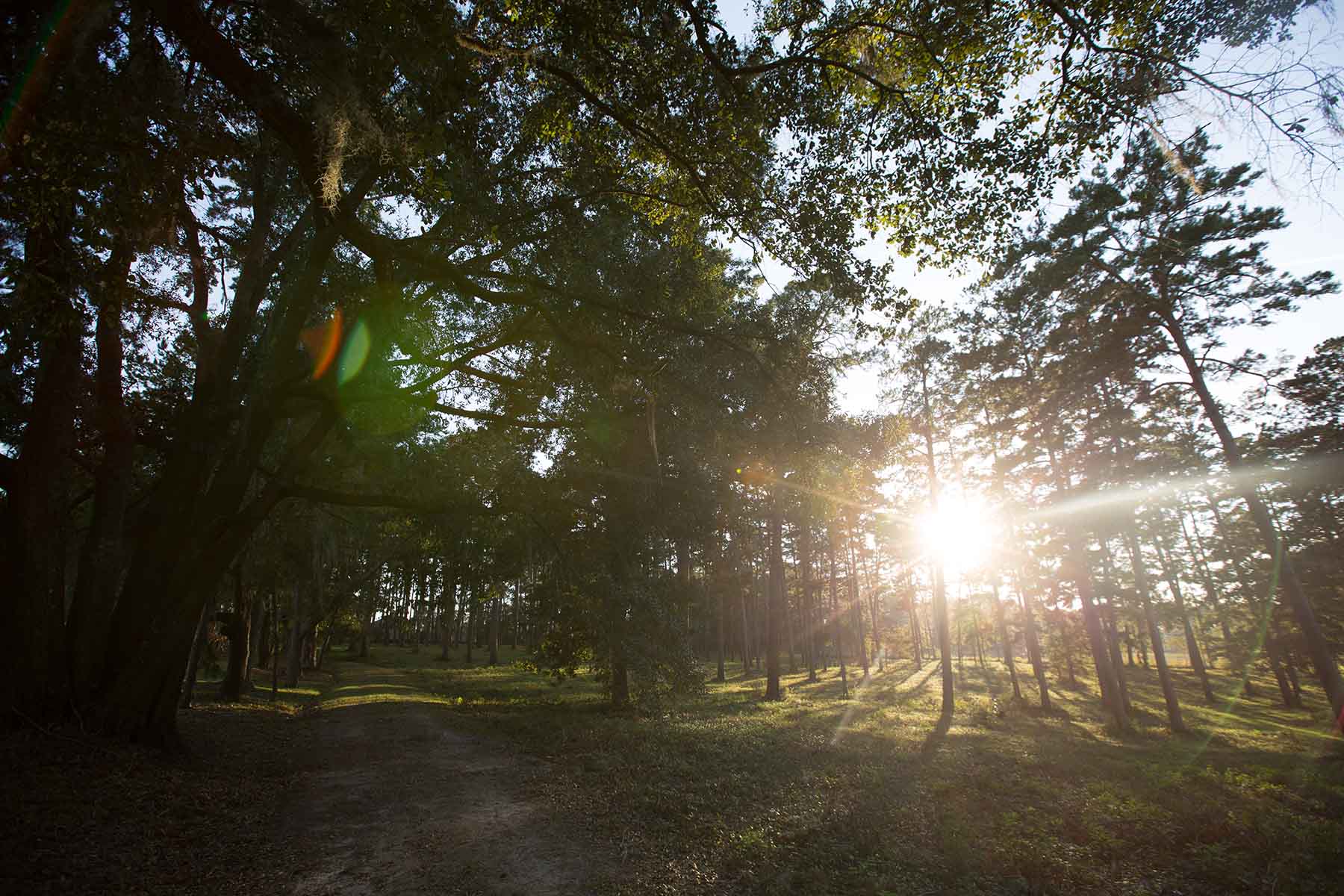 Twin Oaks Plantation property picture 63 of 64