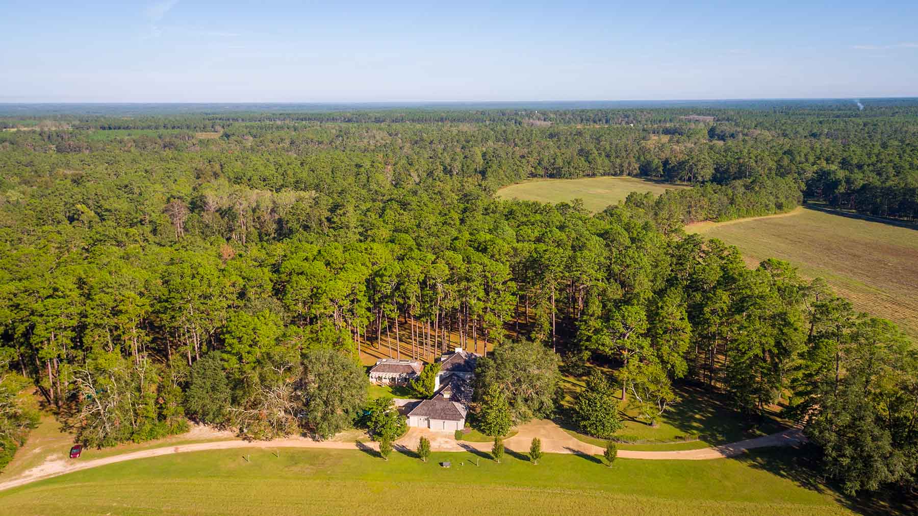 Twin Oaks Plantation property picture 27 of 64