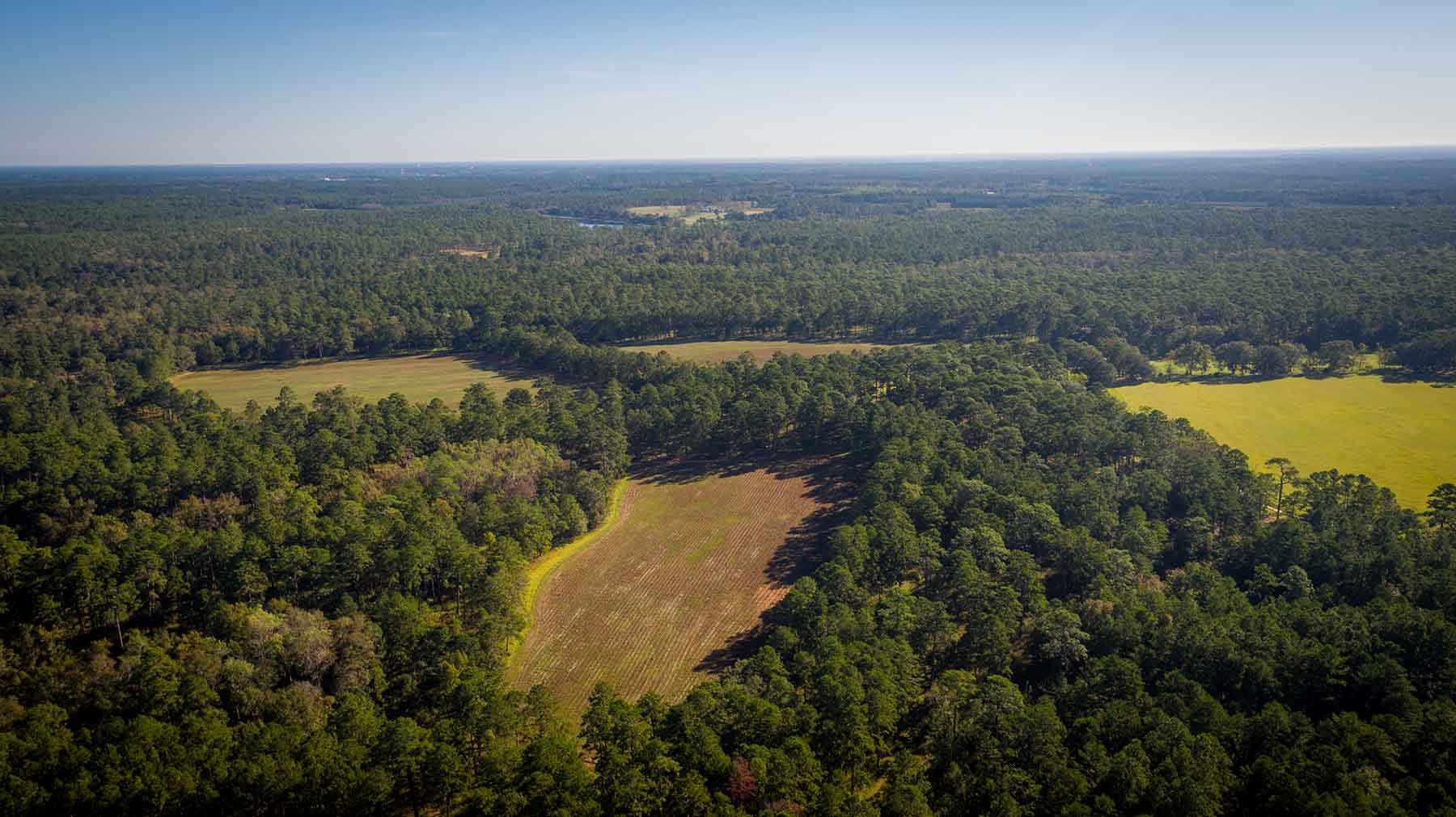 Twin Oaks Plantation property picture 21 of 64