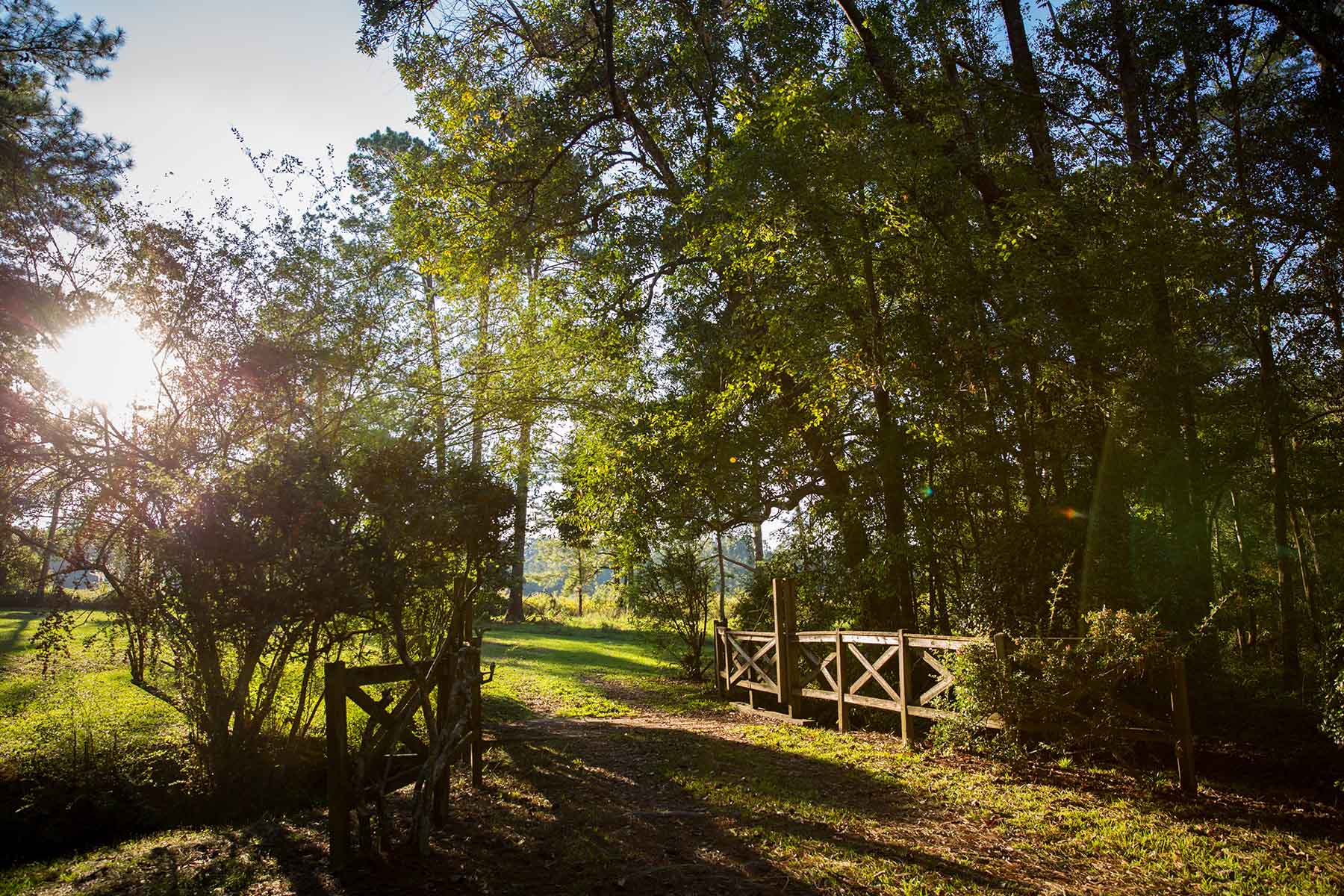 Twin Oaks Plantation property picture 22 of 64