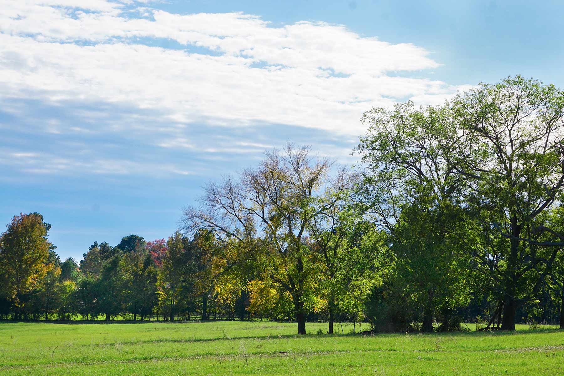 Starr Mountain Ranch property picture 28 of 33