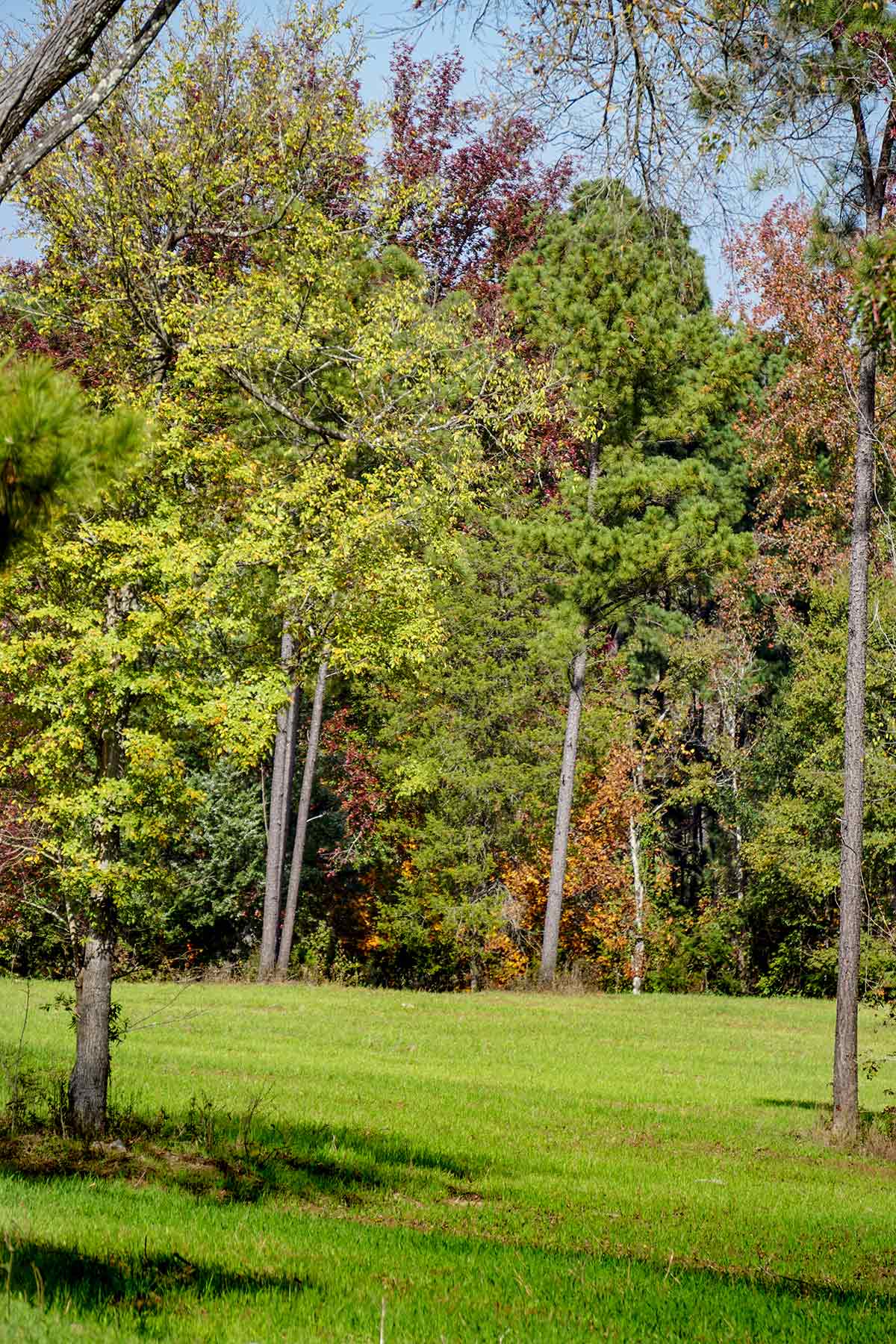 Starr Mountain Ranch property picture 14 of 33