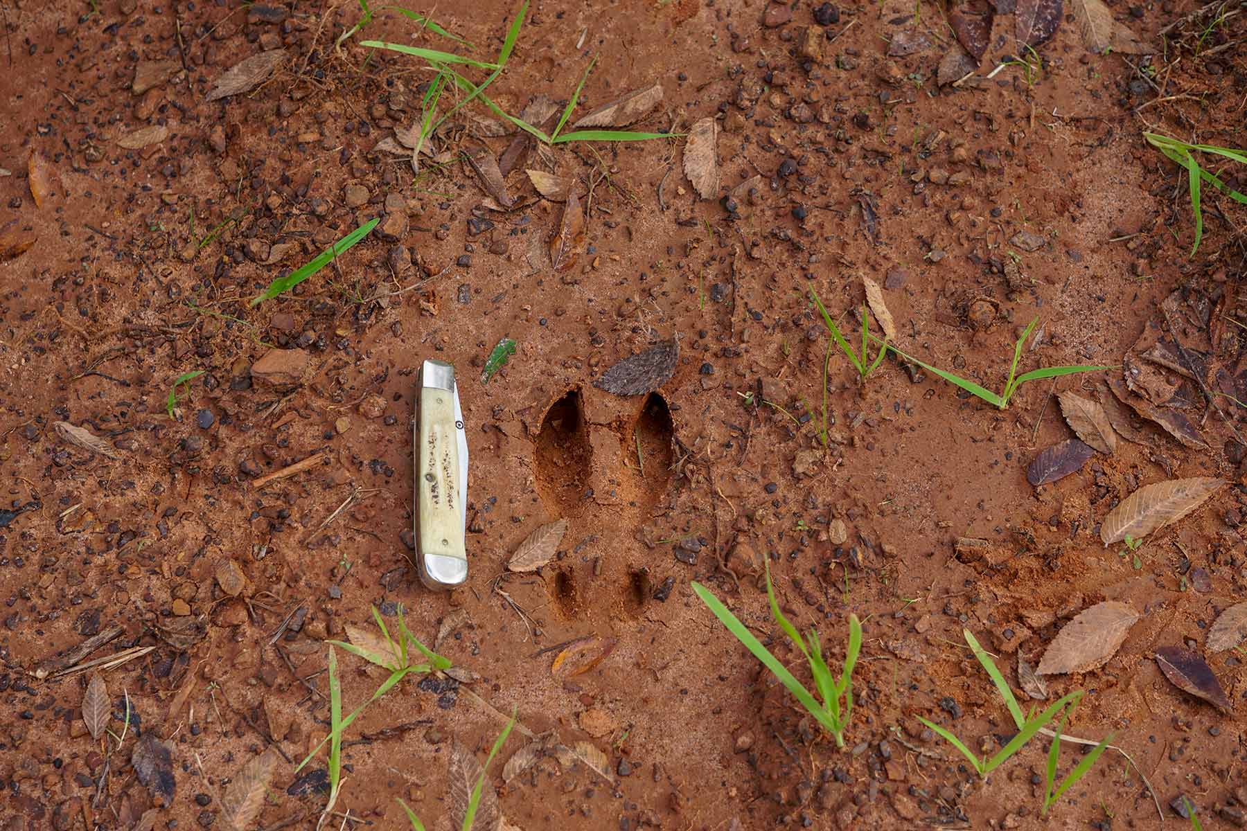 Starr Mountain Ranch property picture 7 of 33