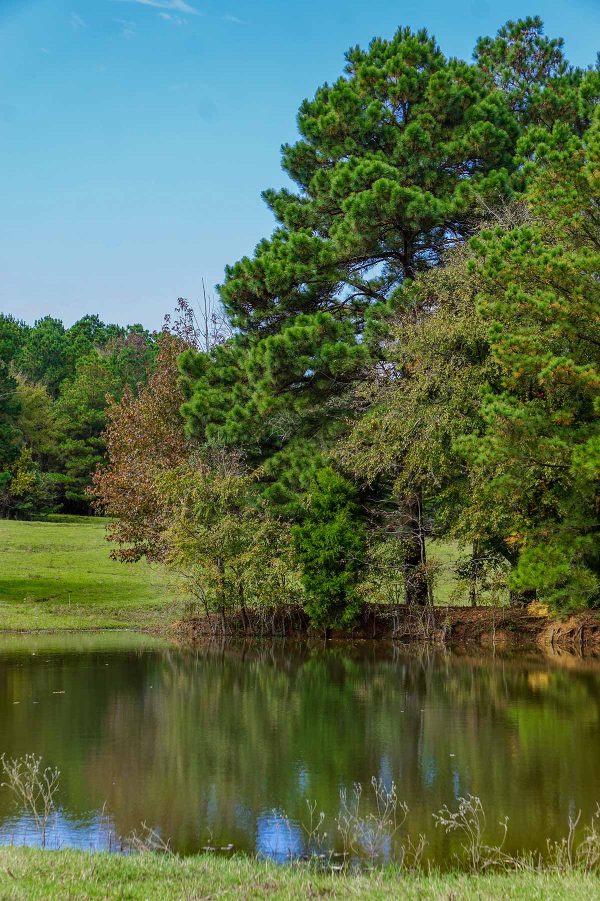 Starr Mountain Ranch property picture 4 of 33
