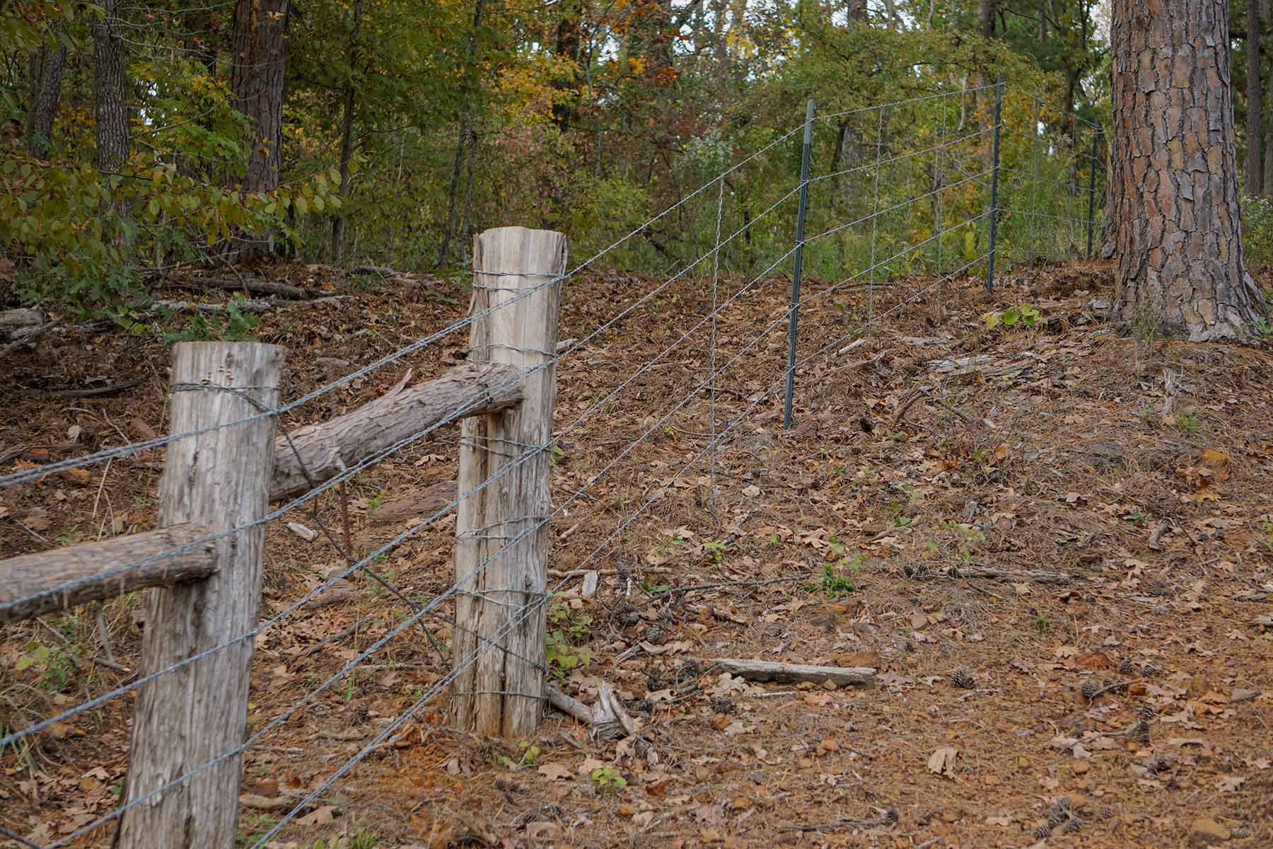 Starr Mountain Ranch property picture 11 of 33