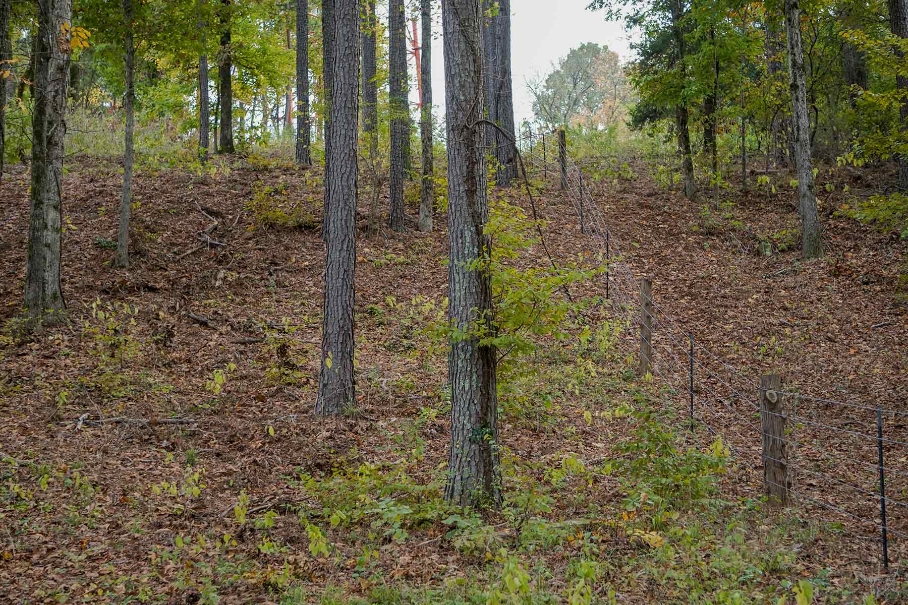 Starr Mountain Ranch property picture 17 of 33