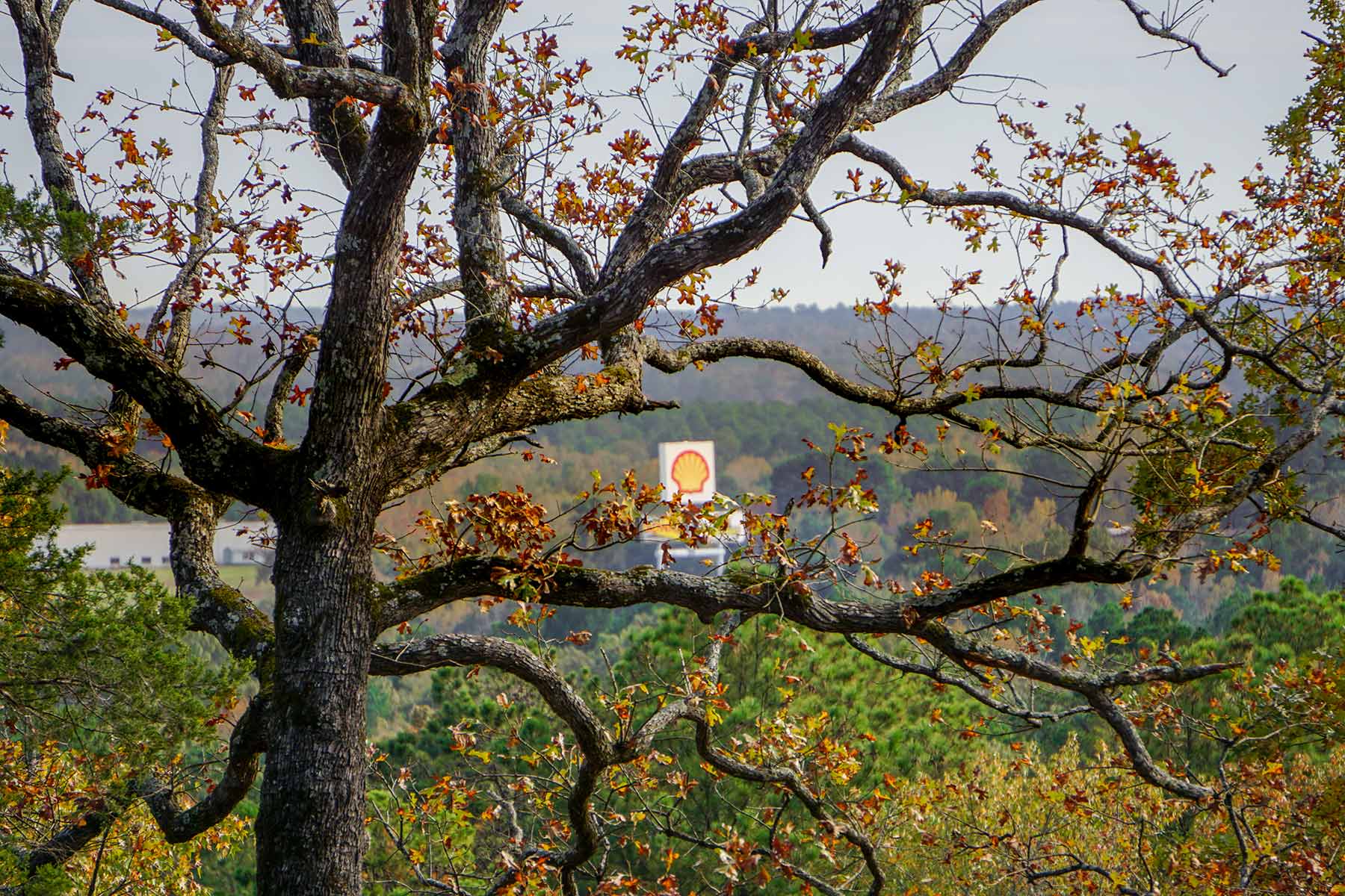 Starr Mountain Ranch property picture 16 of 33