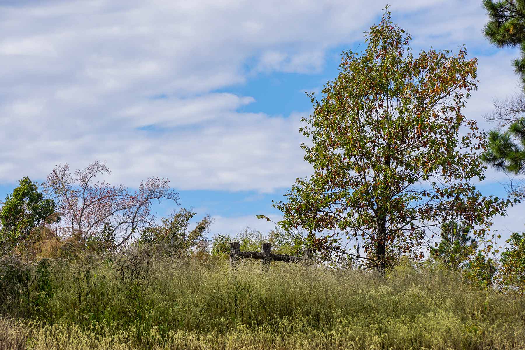 Starr Mountain Ranch property picture 23 of 33