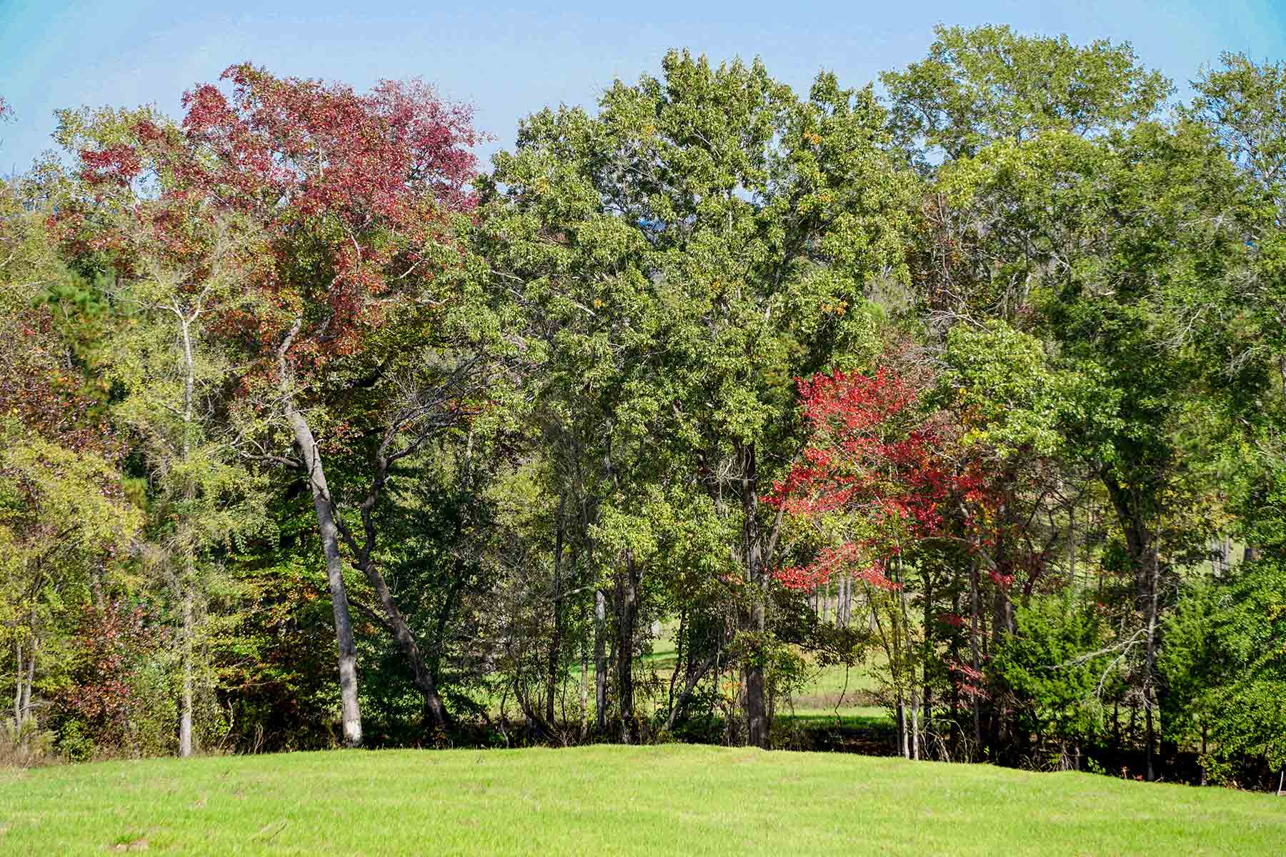 Starr Mountain Ranch property picture 12 of 33