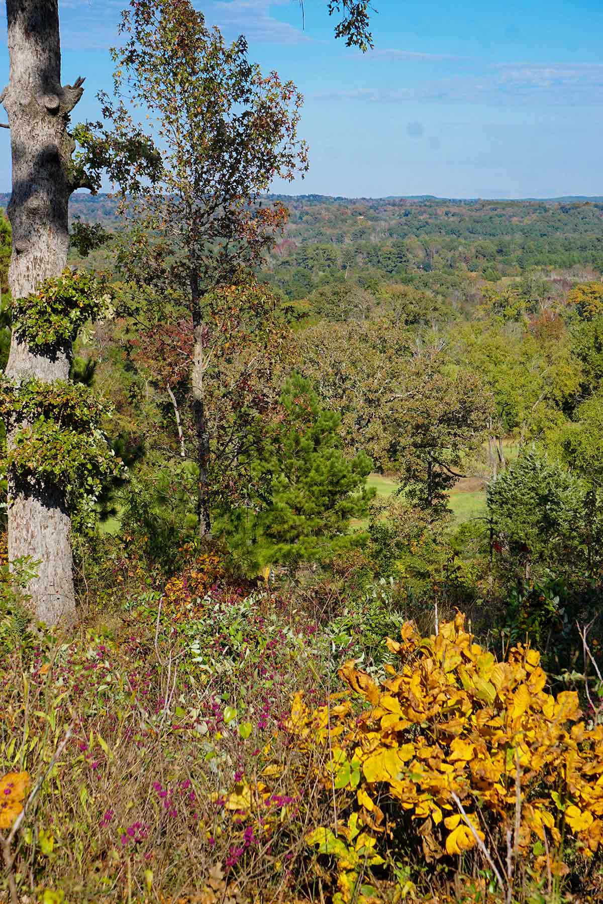 Starr Mountain Ranch property picture 18 of 33