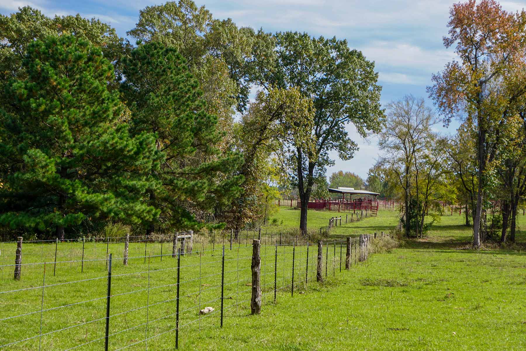 Starr Mountain Ranch property picture 19 of 33