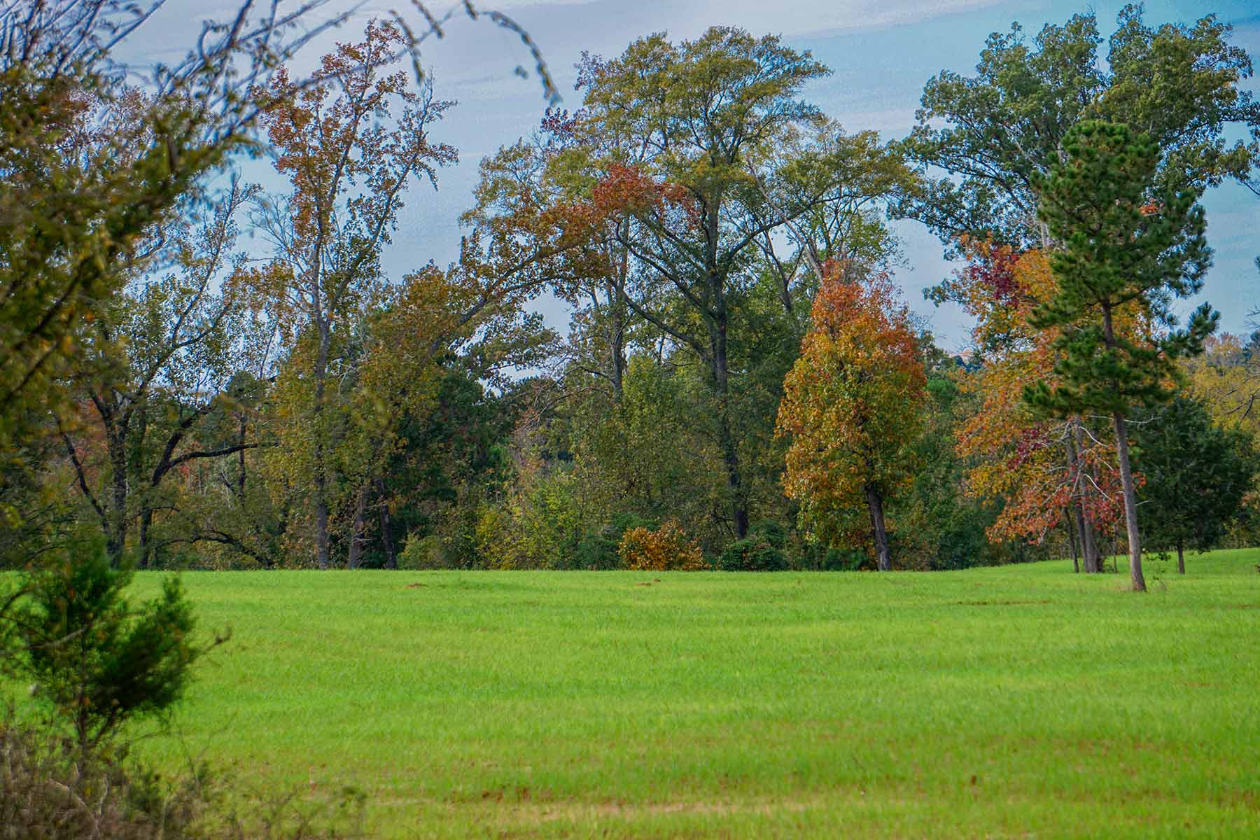 Starr Mountain Ranch property picture 5 of 33