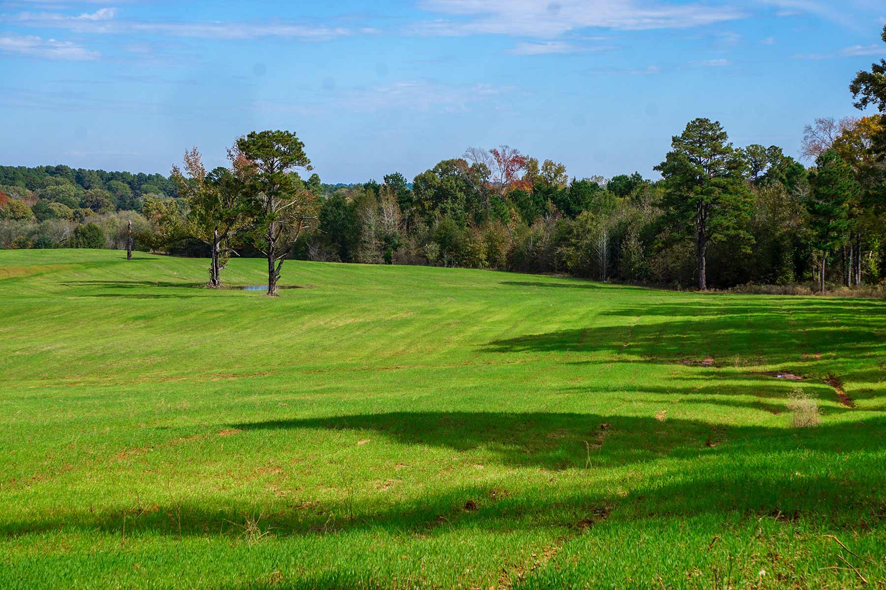 Starr Mountain Ranch property picture 9 of 33