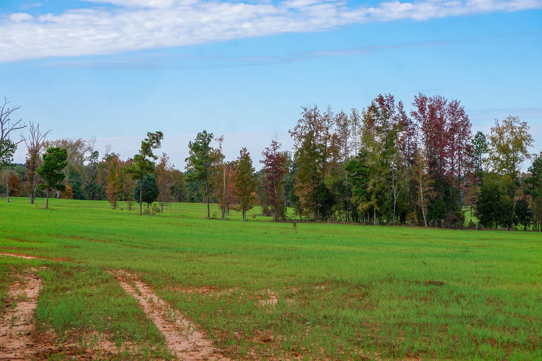 Starr Mountain Ranch property picture 22 of 33