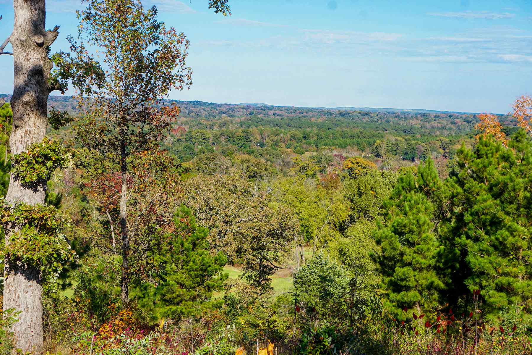 Starr Mountain Ranch property picture 10 of 33
