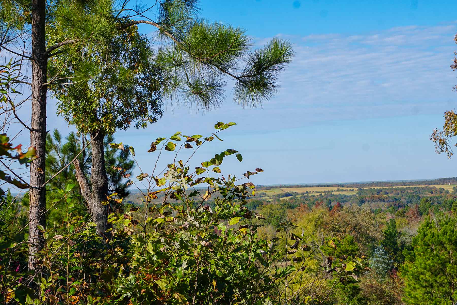 Starr Mountain Ranch property picture 13 of 33