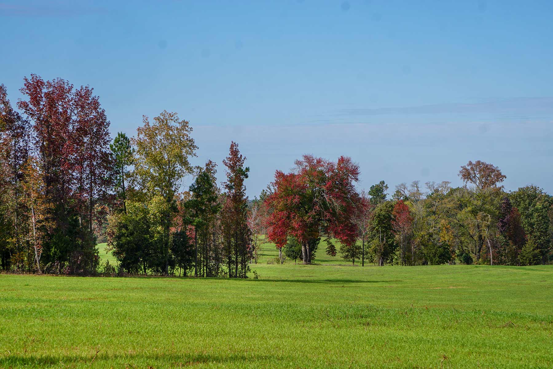 Starr Mountain Ranch property picture 15 of 33