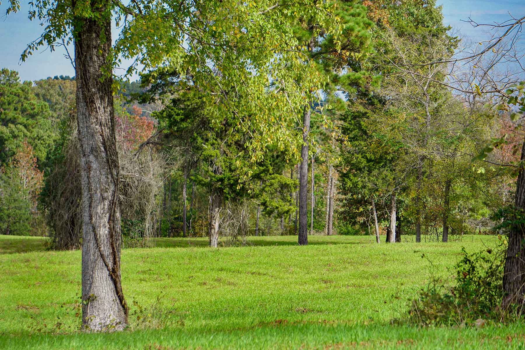 Starr Mountain Ranch property picture 24 of 33