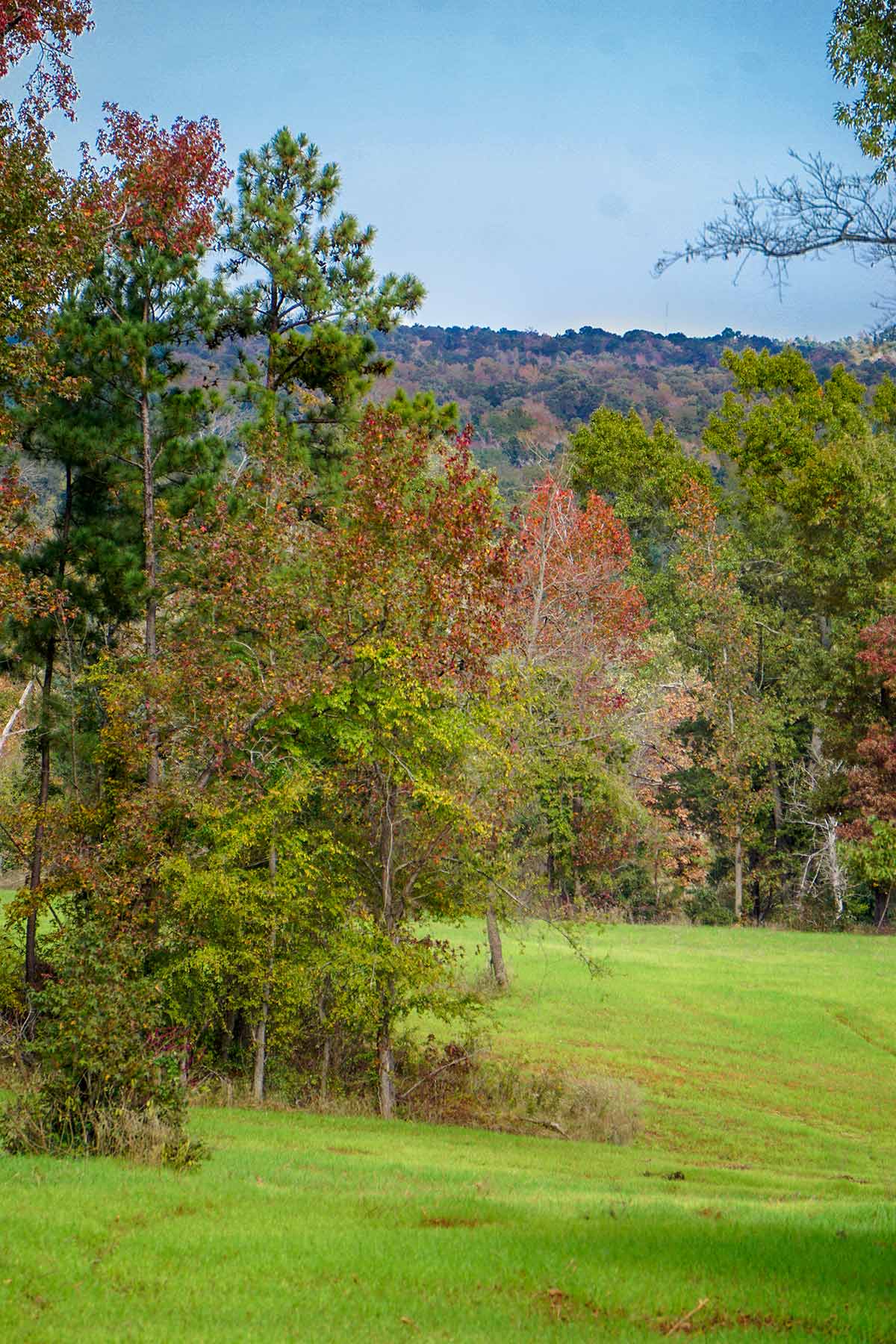 Starr Mountain Ranch property picture 26 of 33